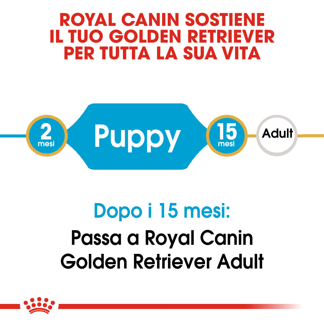 Royal Canin Golden Retriever Puppy 3kg - Crocchette per Cani
