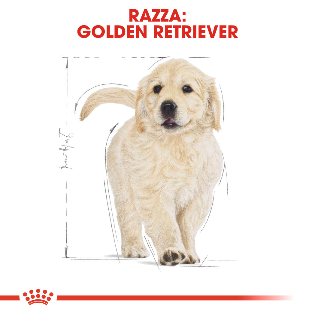 Royal Canin Golden Retriever Puppy 3kg - Crocchette per Cani