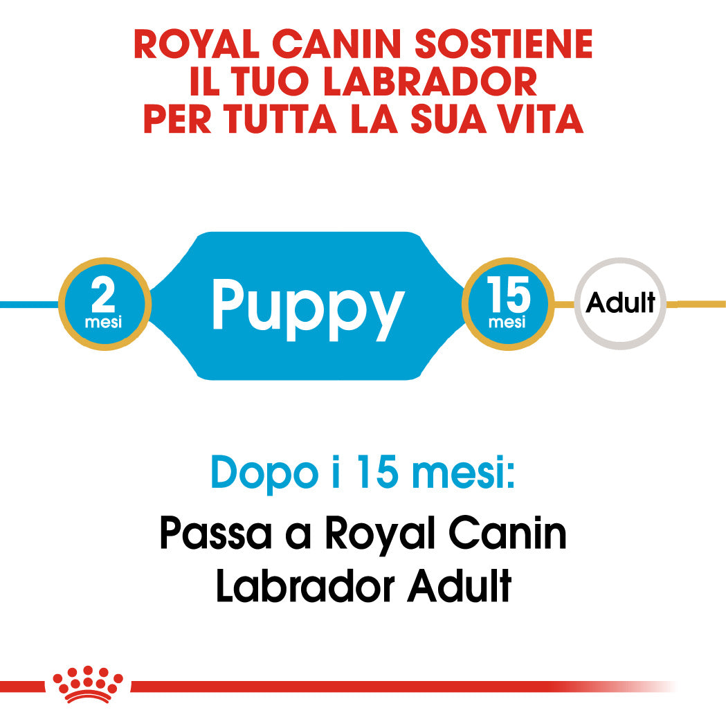 Royal Canin Labrador Retriever Puppy 3kg - Crocchette per Cani