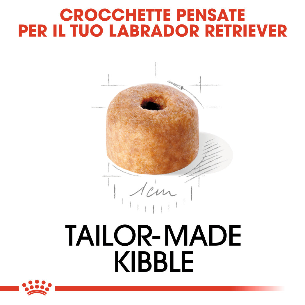 Royal Canin Labrador Retriever Puppy 3kg - Crocchette per Cani