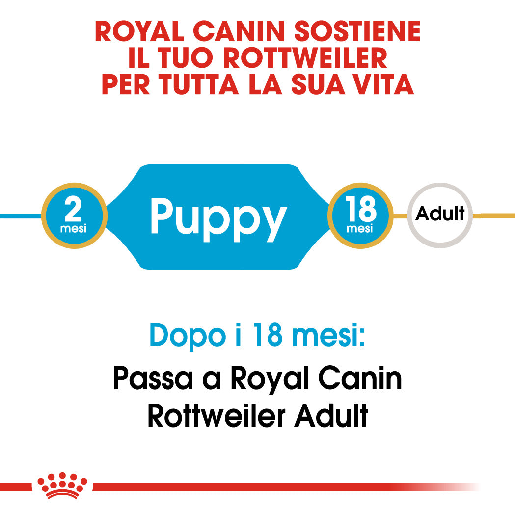 Royal Canin Rottweiler Puppy 12kg - Crocchette per Cani