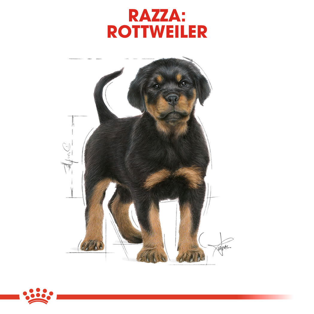 Royal Canin Rottweiler Puppy 12kg - Crocchette per Cani