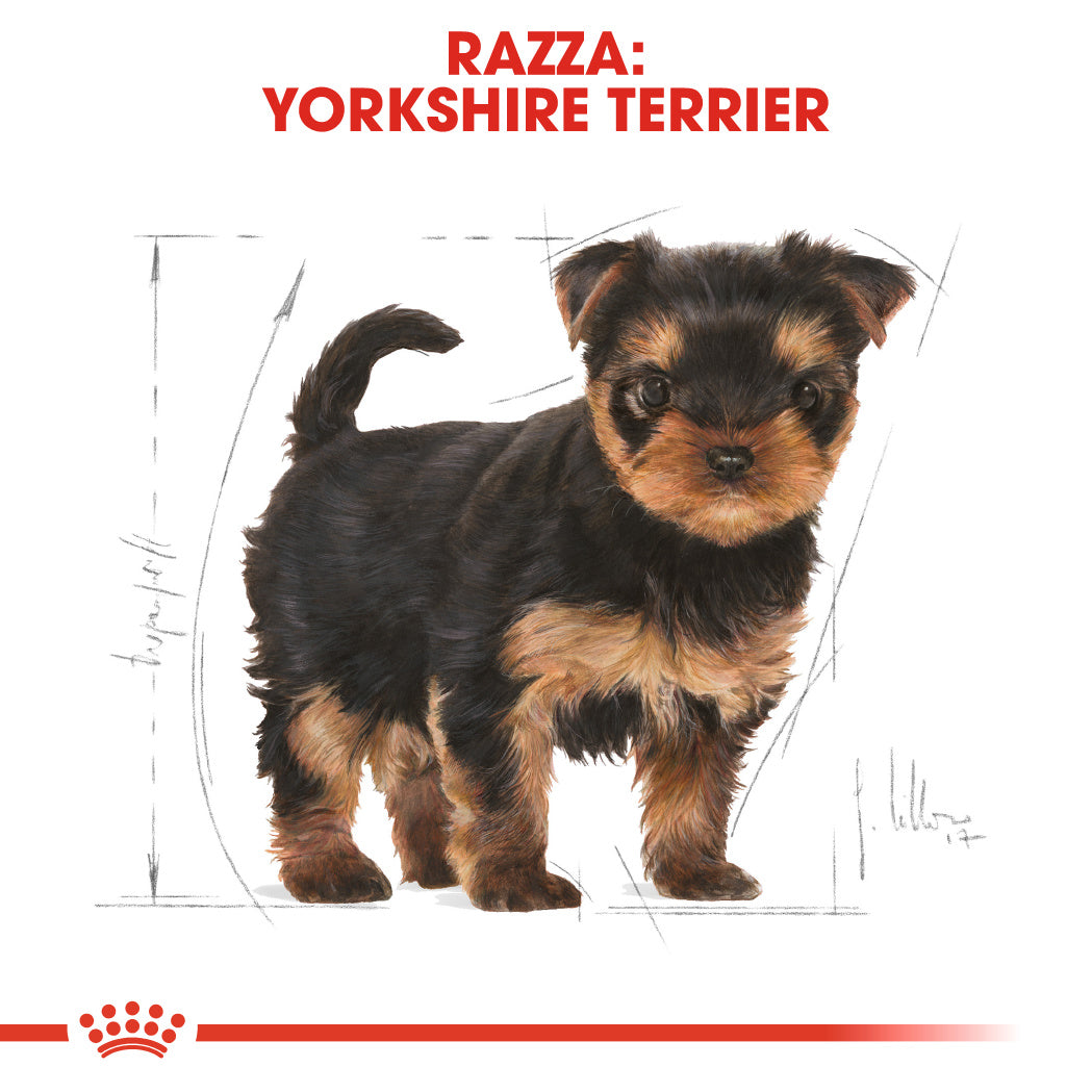 Royal Canin Yorkshire Puppy 1,5kg - Crocchette per Cani