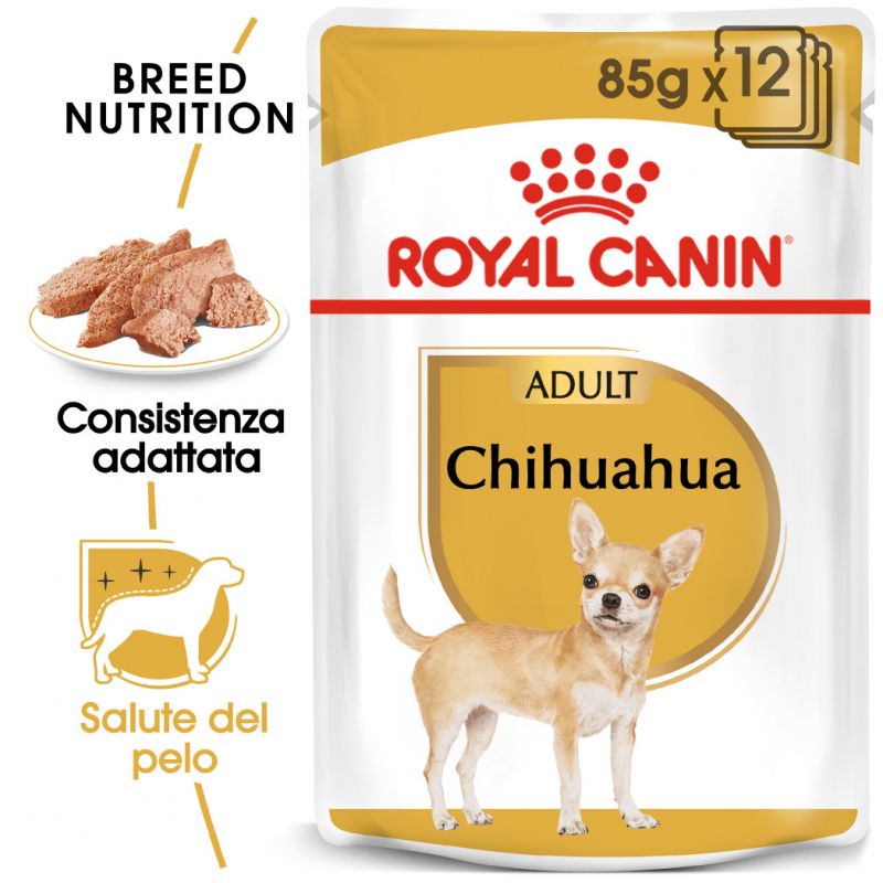 Royal Canin Chihuahua 12x85gr Umido per Cani