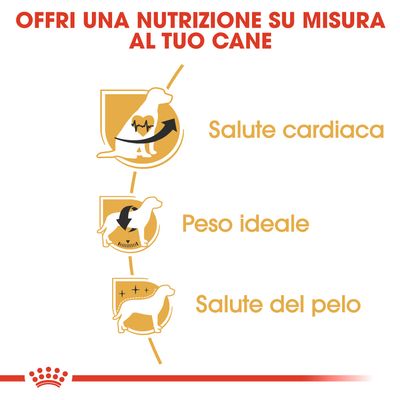 Royal Canin Cavalier King Adult 7,5kg - Crocchette per Cani