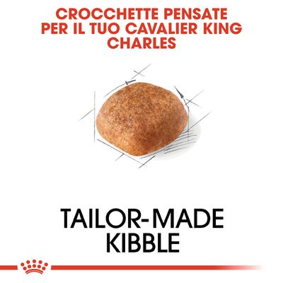 Royal Canin Cavalier King Adult 7,5kg - Crocchette per Cani