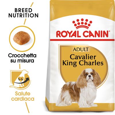 Royal Canin Cavalier King Adult 7,5kg - Crocchette per Cani
