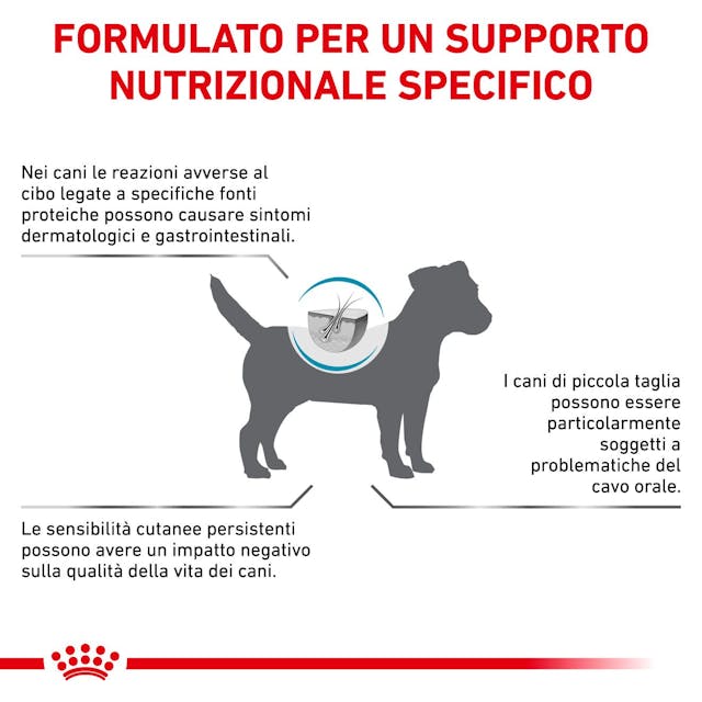 Royal Canin Anallergenic Small Dog S 1,5kg - Crocchette per Cani