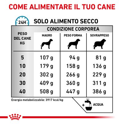 Royal Canin Anallergenic Veterinary 8kg - Crocchette per Cani