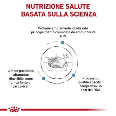 Royal Canin Anallergenic Veterinary 8kg - Crocchette per Cani