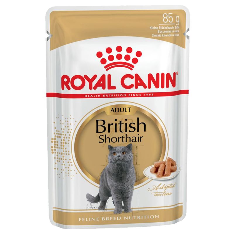 Royal Canin British Shorthair 12x85gr Cibo Umido per Gatti