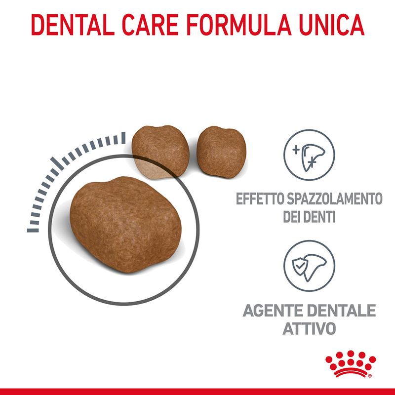 Royal Canin Dental Care 400g - Crocchette per Gatti