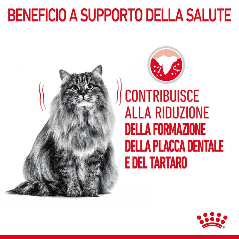 Royal Canin Dental Care 400g - Crocchette per Gatti