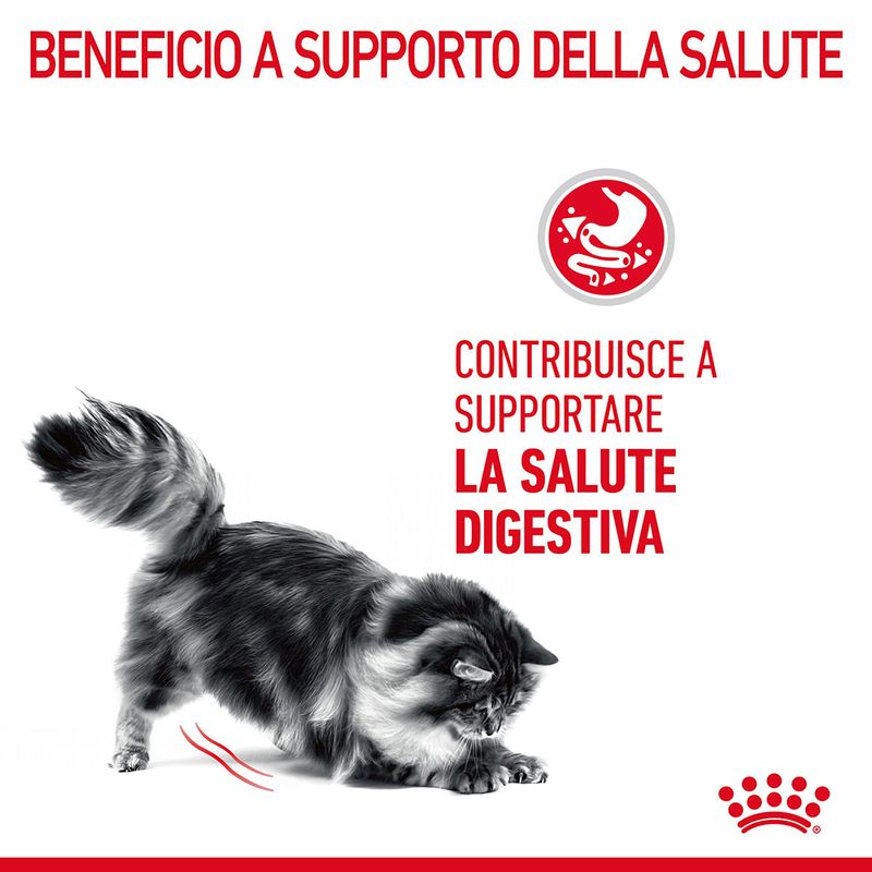 Royal Canin Digestive Care 2kg Crocchette per Gatti