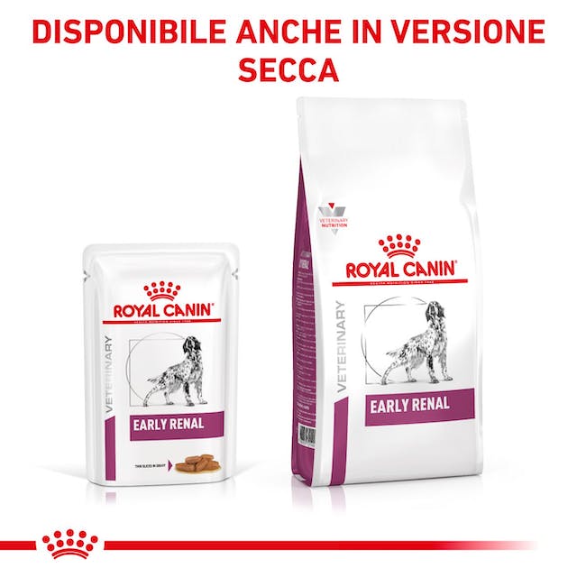Royal Canin Early Renal - Straccetti in Salsa per Cane 12x100gr