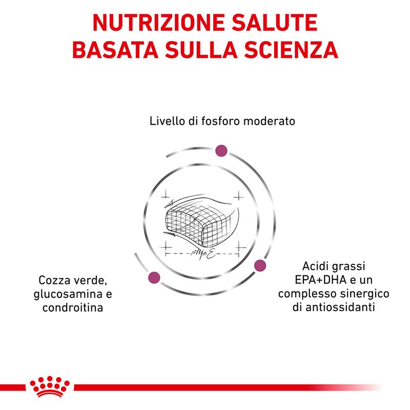 Royal Canin Early Renal Veterinary 1,5kg - Crocchette per Gatti