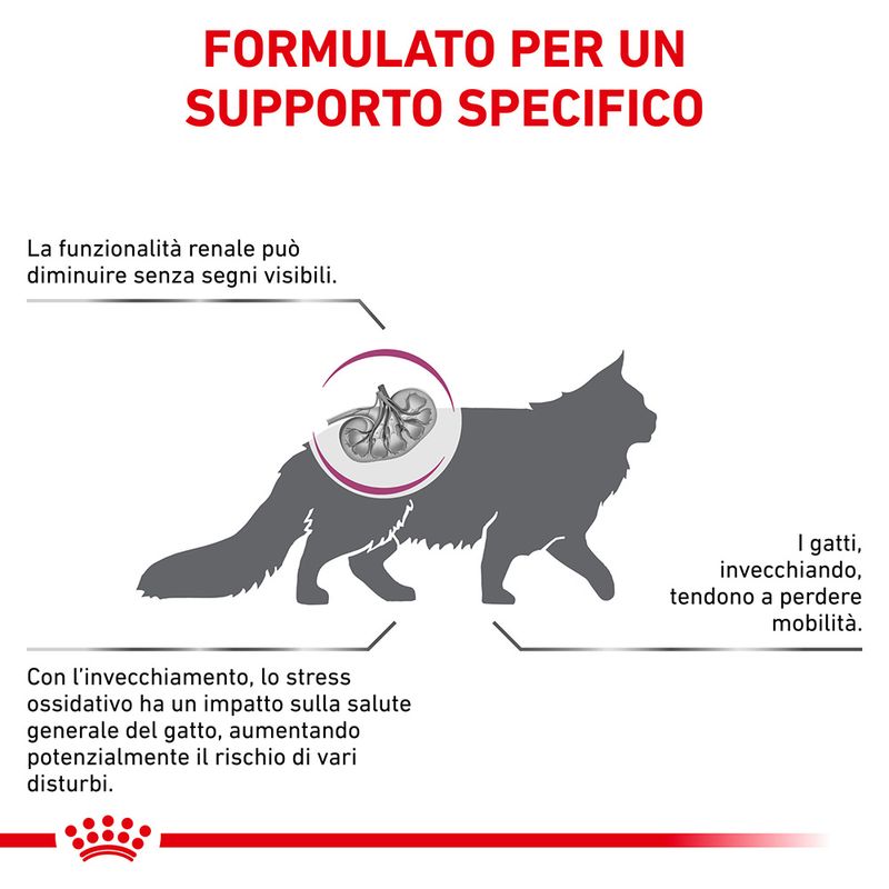 Royal Canin Early Renal Veterinary 1,5kg - Crocchette per Gatti