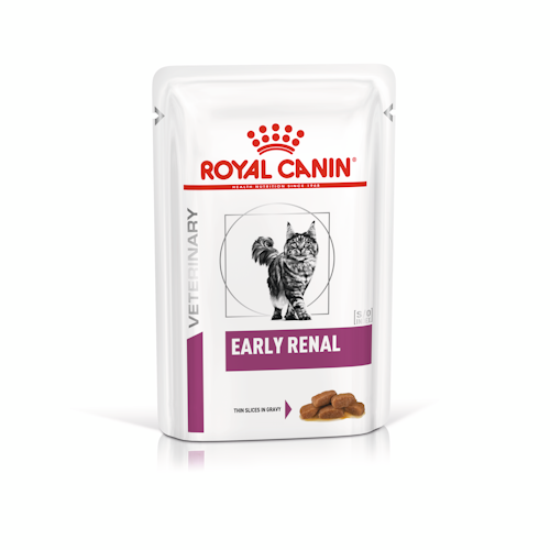 Royal Canin Early Renal Veterinary 12x85g Umido per Gatti