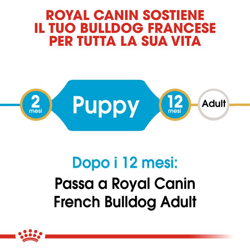 Royal Canin French Bulldog Puppy - Alimento Secco per Cuccioli 10 Kg