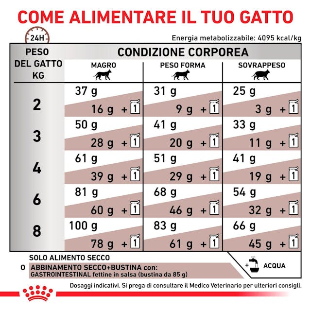 Royal Canin Gastrointestinal 2kg - Per Gatti con Disturbi Digestivi