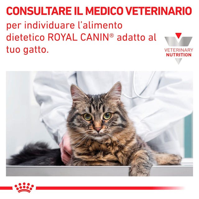 Royal Canin Gastrointestinal 2kg - Per Gatti con Disturbi Digestivi