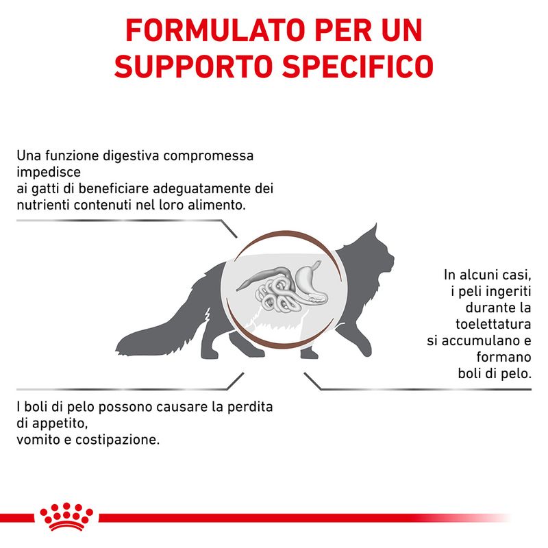 Royal Canin Gastrointestinal Hairball 2kg - Crocchette per Gatti