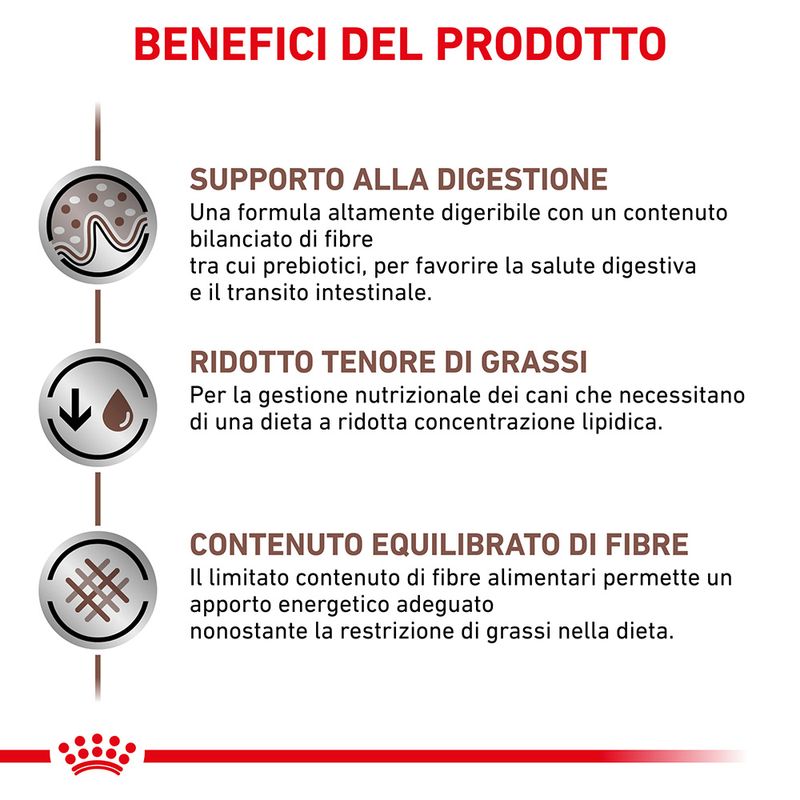 Royal Canin Gastrointestinal Low Fat 6kg - Crocchette per Cani