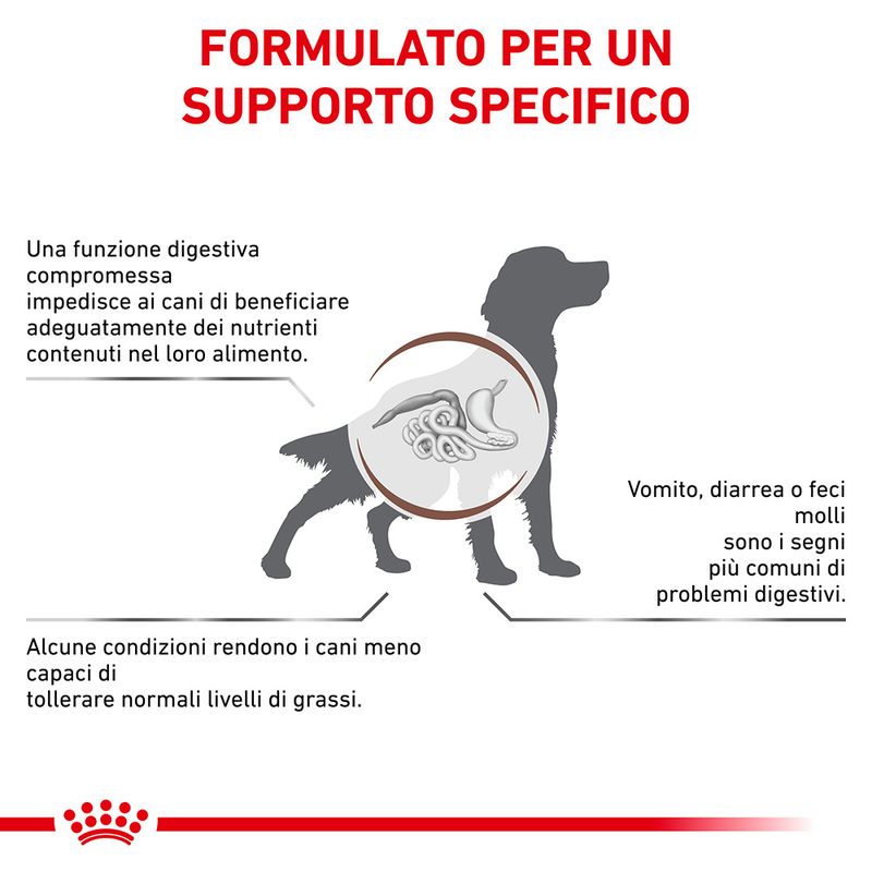 Royal Canin Gastrointestinal Low Fat 6kg - Crocchette per Cani