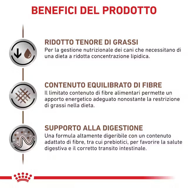Alimento secco Royal Canin Gastrointestinal Low Fat 12 kg per cani adulti con disturbi digestivi e necessità di dieta a basso contenuto di grassi