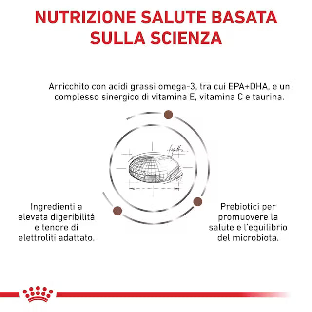 Alimento secco Royal Canin Gastrointestinal Low Fat 12 kg per cani adulti con disturbi digestivi e necessità di dieta a basso contenuto di grassi
