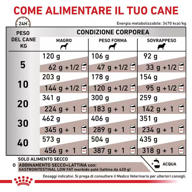 Alimento secco Royal Canin Gastrointestinal Low Fat 12 kg per cani adulti con disturbi digestivi e necessità di dieta a basso contenuto di grassi