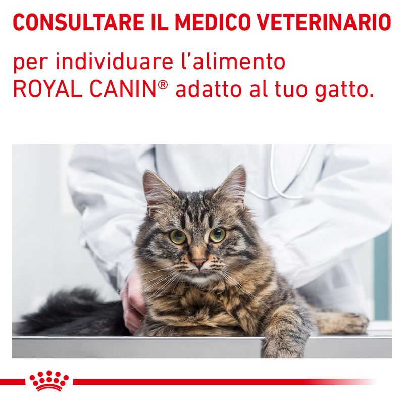 Royal Canin Gastrointestinal Moderate Calorie 2kg - Crocchette per gatti