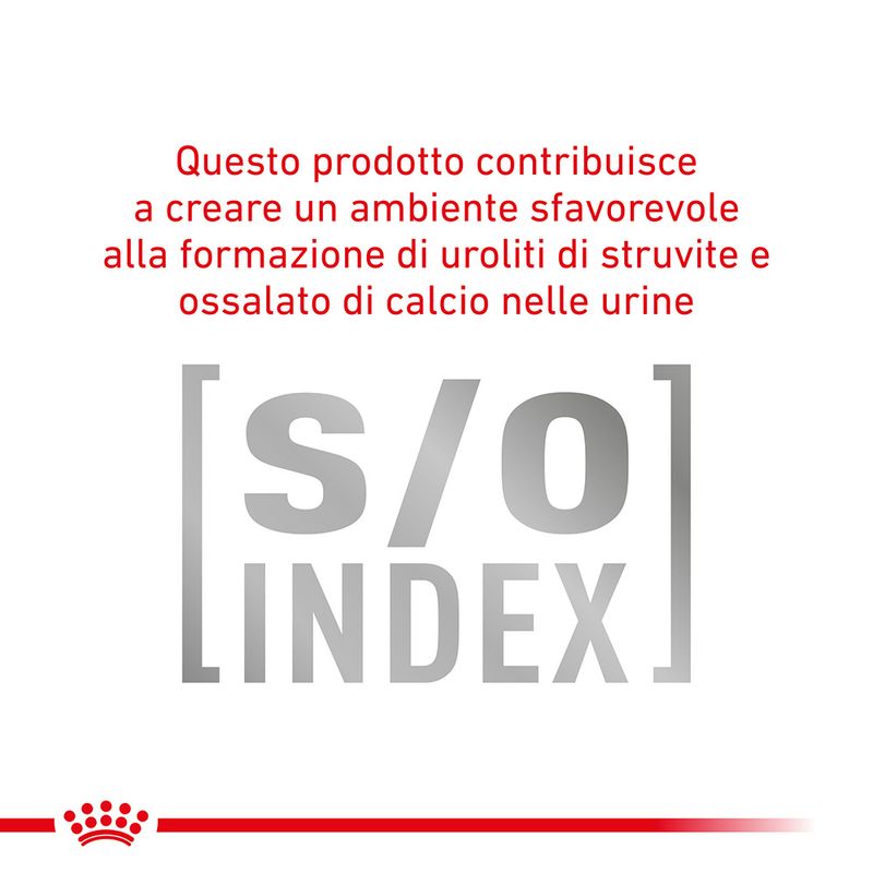 Royal Canin Gastrointestinal Moderate Calorie 2kg - Crocchette per gatti