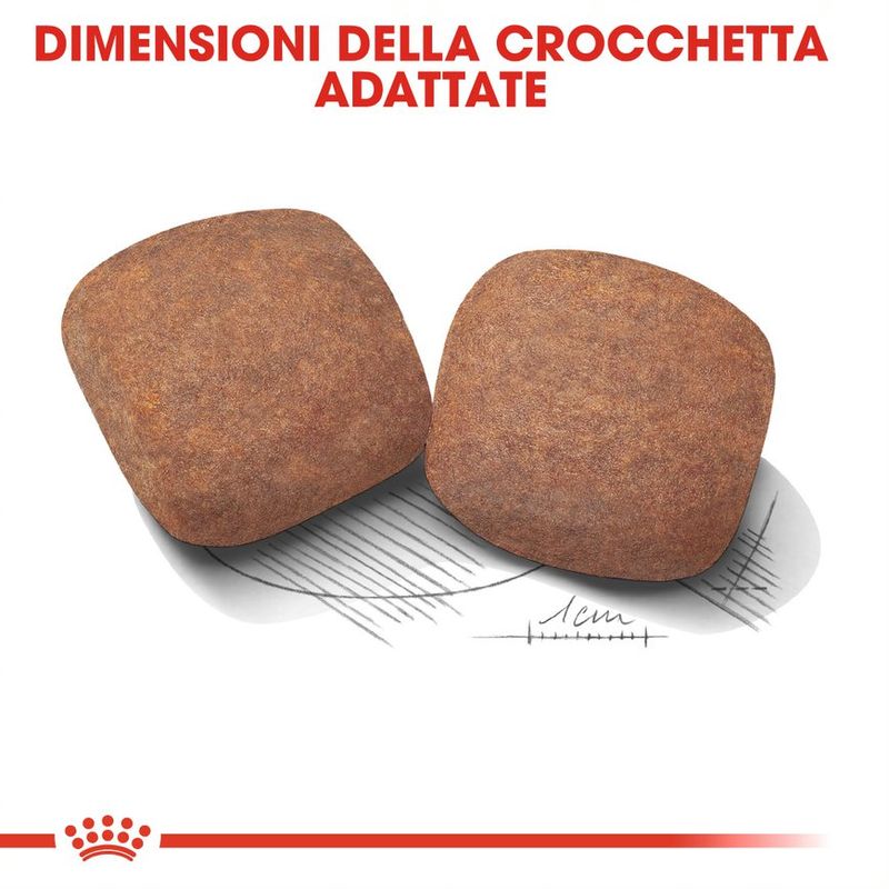 Royal Canin Giant Adult 15 Kg - Crocchette per Cani