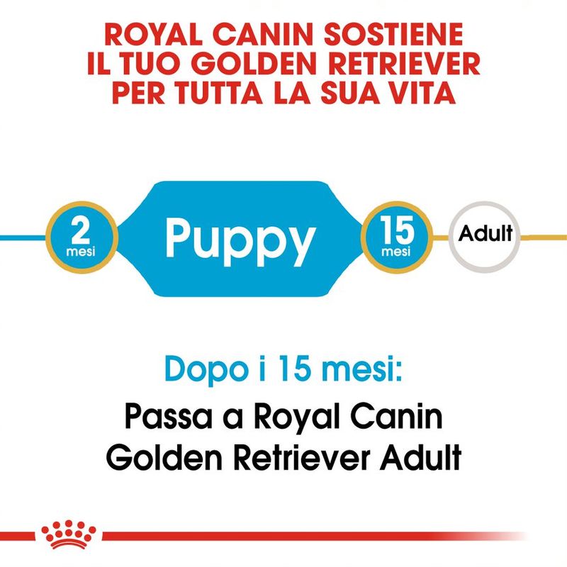 Royal Canin Golden Retriever Puppy - 12kg