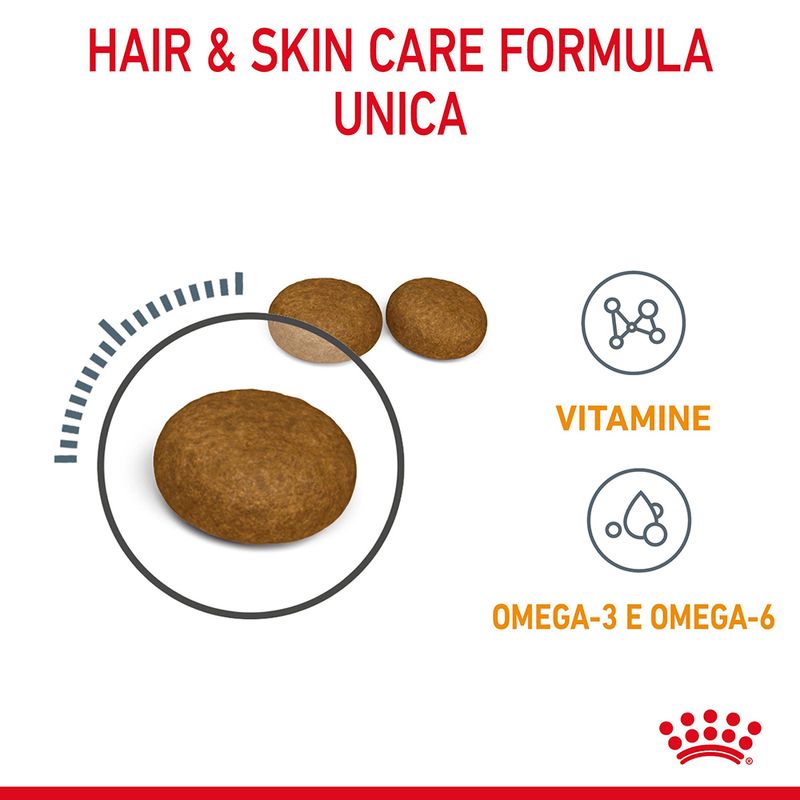 Royal Canin Hair&Skin Care 2kg Crocchette per Gatti