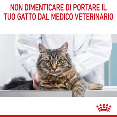 Royal Canin Hair&Skin Care 400g - Crocchette per Gatti