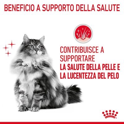 Royal Canin Hair&Skin Care 400g - Crocchette per Gatti