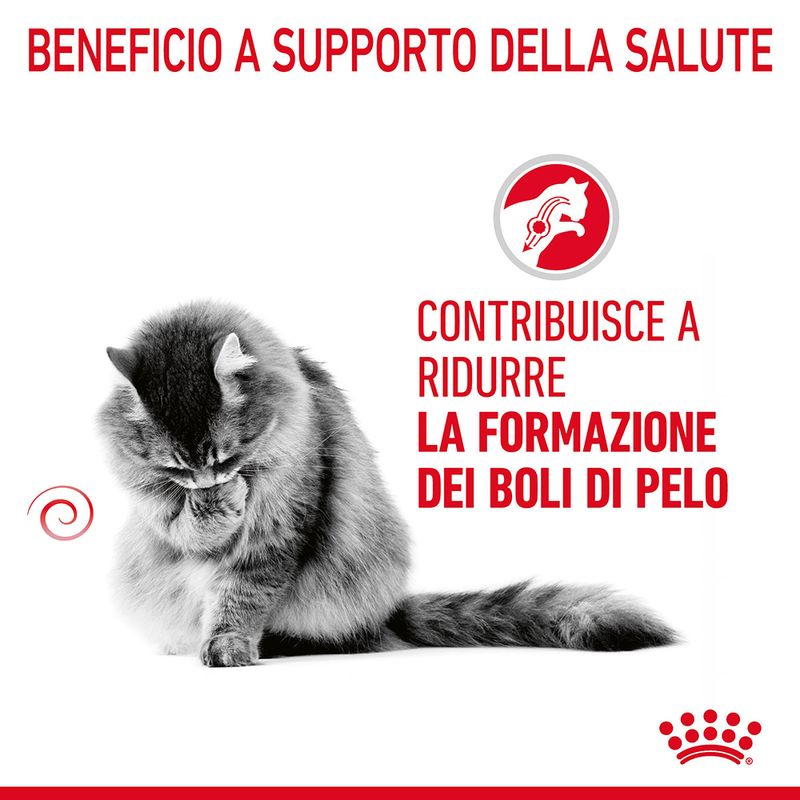 Royal Canin Hairball Care 2kg Crocchette per Gatto