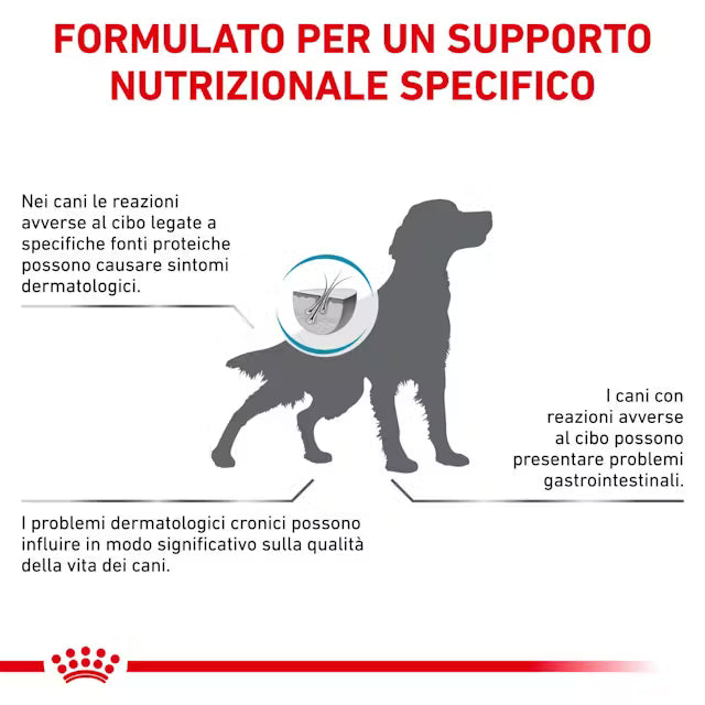 Illustrazione veterinaria legata ai benefici digestivi e cutanei del Royal Canin Hypoallergenic cane