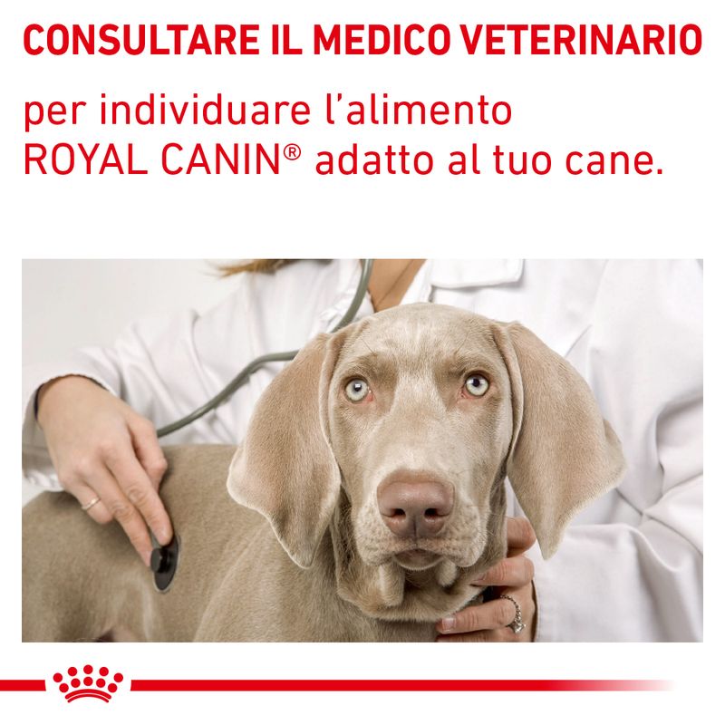 Royal Canin Hypoallergenic Veterinary Mousse 400g Umido per Cane