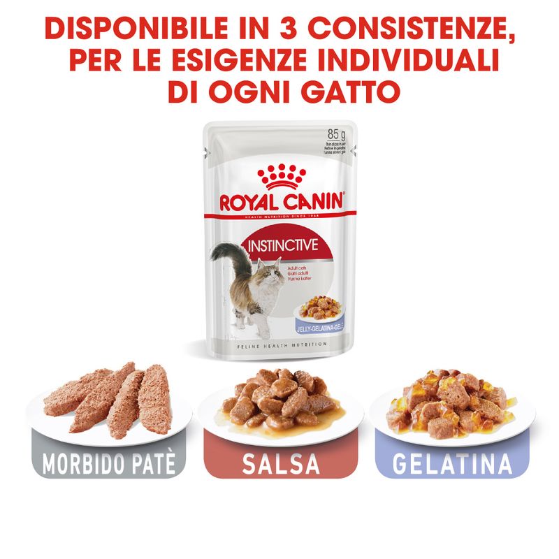 Royal Canin Instinctive Umido in Gelatina per Gatti 12x85g