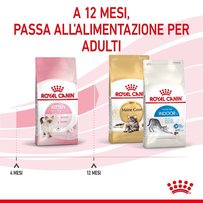 Royal Canin Kitten 2kg Crocchette per Gatti