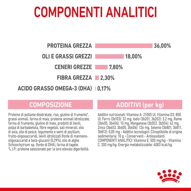 Royal Canin Kitten 2kg - Crocchette per Gatti