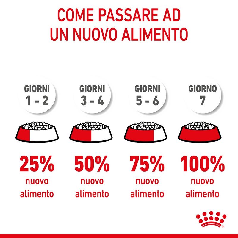 Royal Canin Kitten 2kg - Crocchette per Gatti