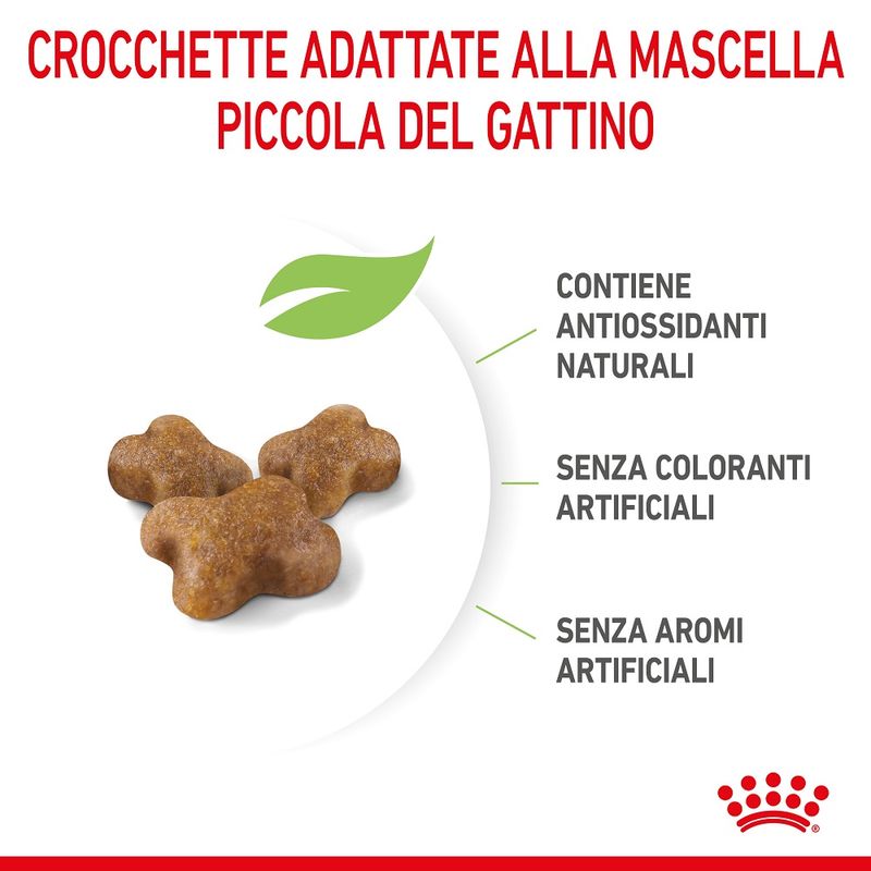 Royal Canin Kitten 2kg Crocchette per Gatti