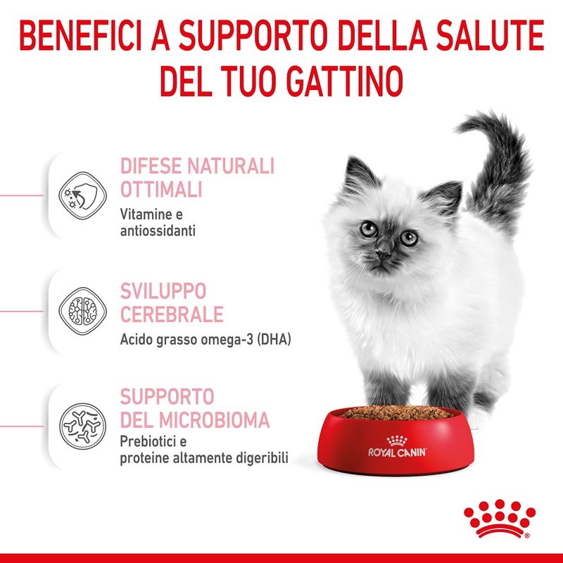 Royal Canin Kitten 2kg - Crocchette per Gatti