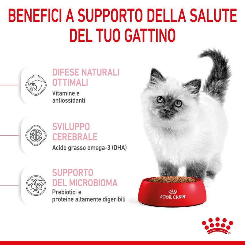 Royal Canin Kitten 2kg Crocchette per Gatti