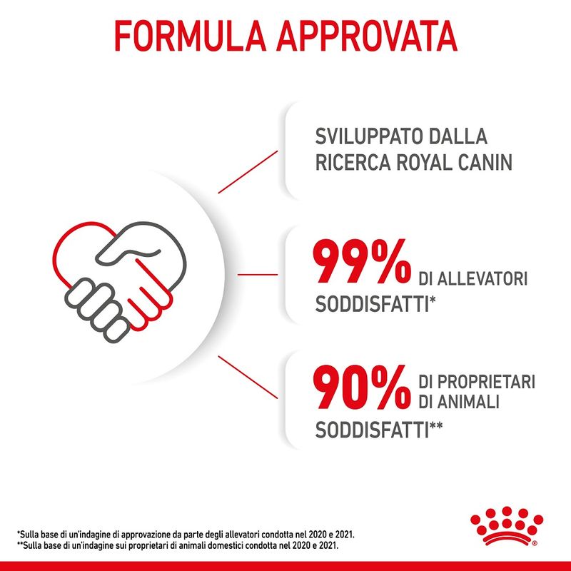 Royal Canin Kitten 2kg - Crocchette per Gatti