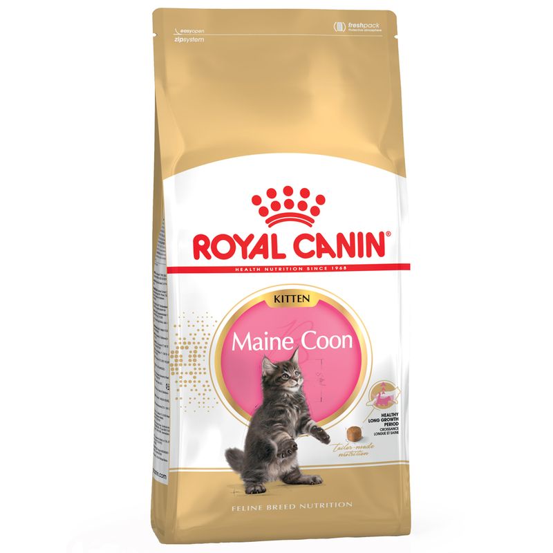 Royal Canin Kitten Maine Coon 2kg Crocchette per Gatti Cuccioli